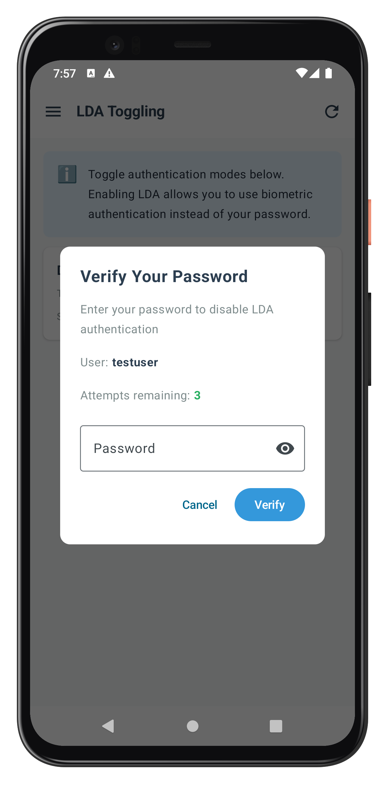 Password Verification Dialog (Mode 5, 15)