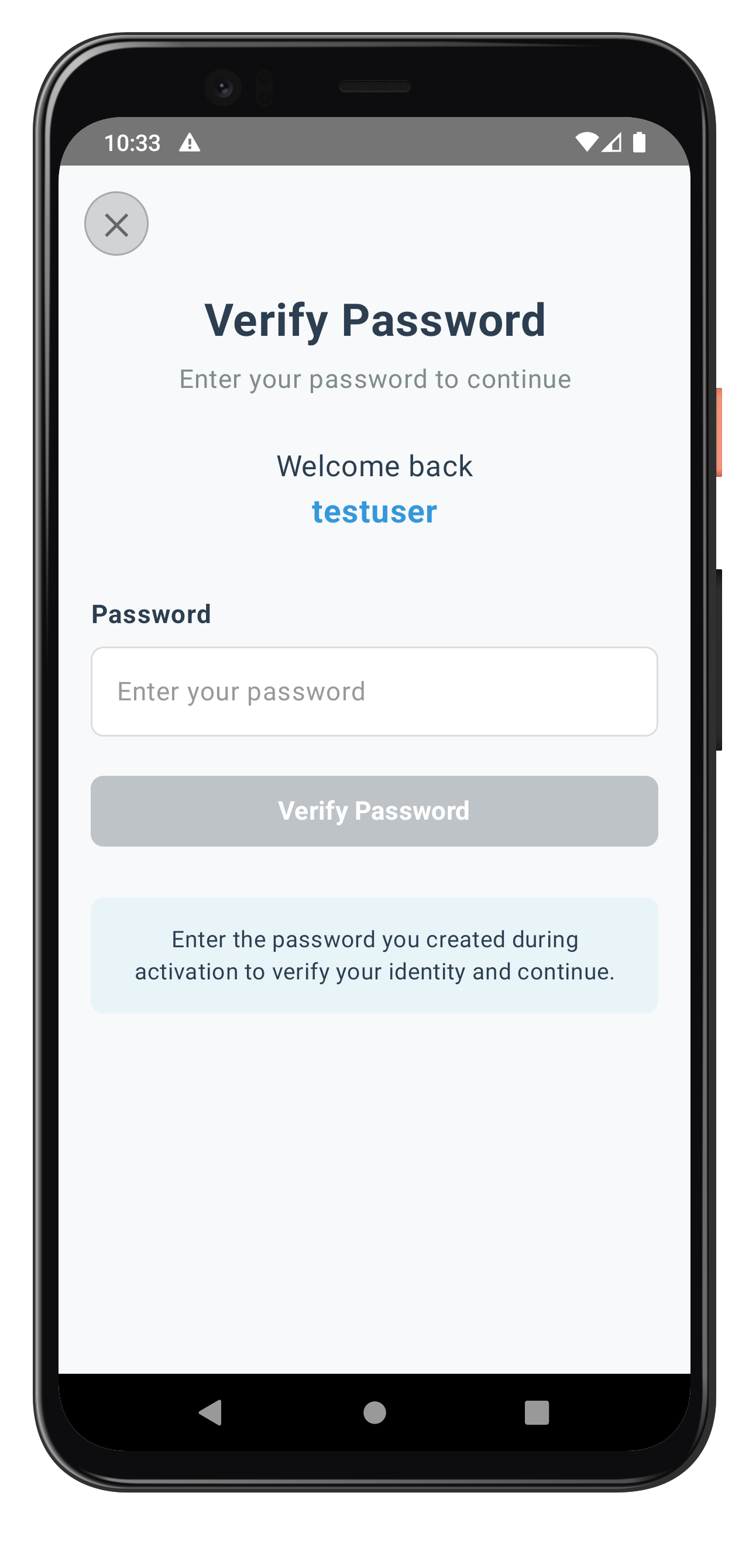Verify Password Screen