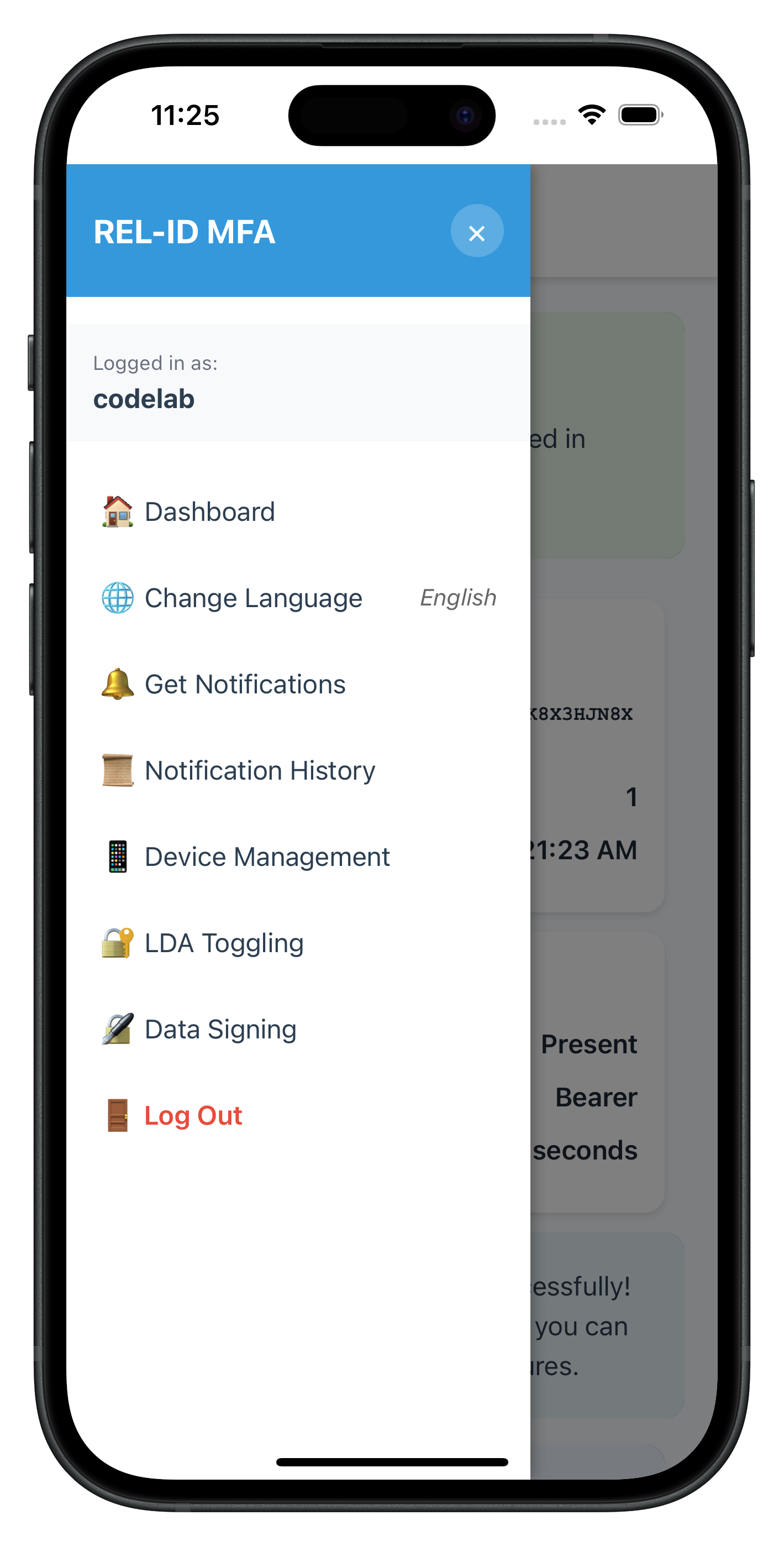 Runtime Language Change