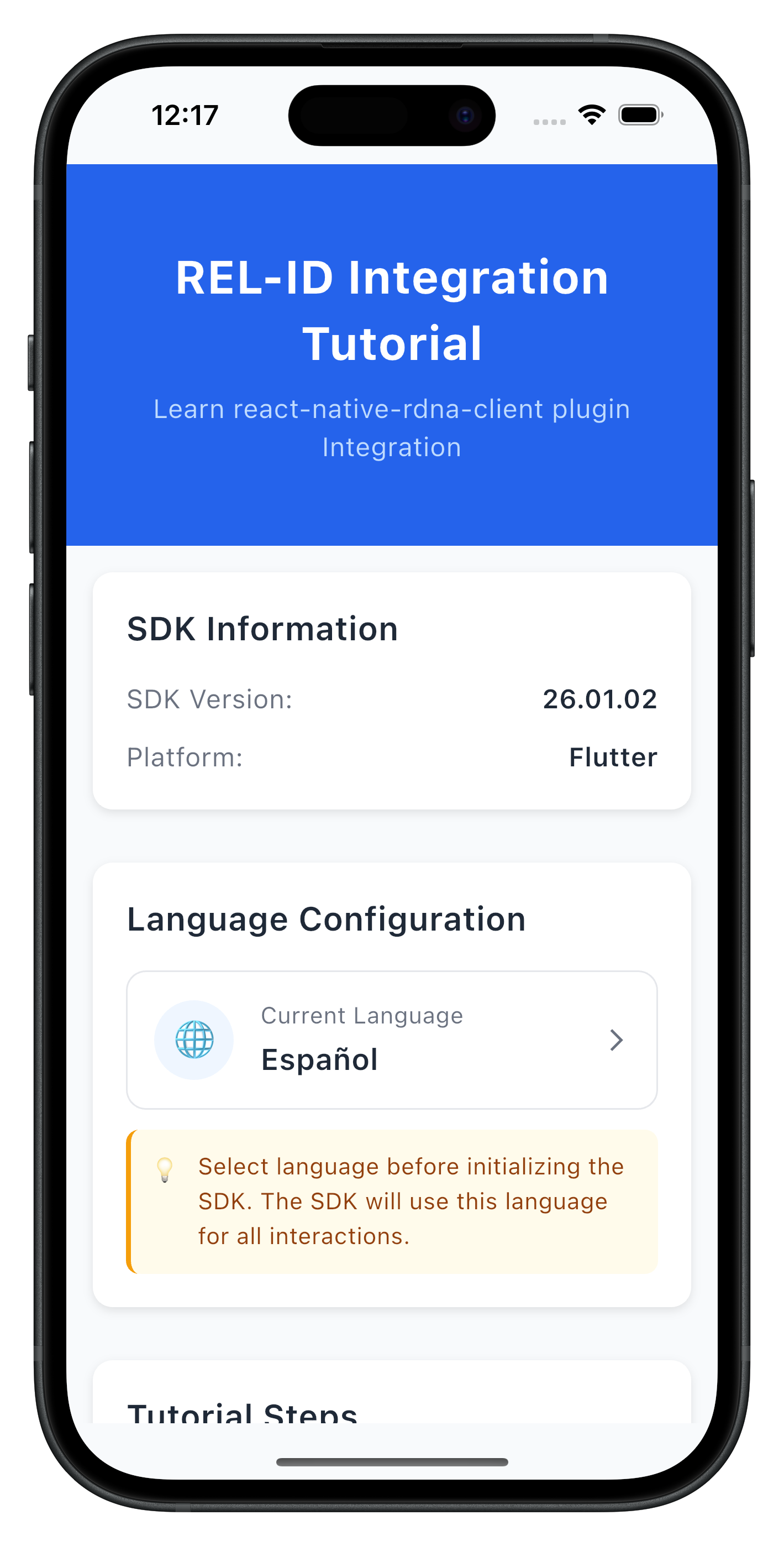 initialize with initOptions