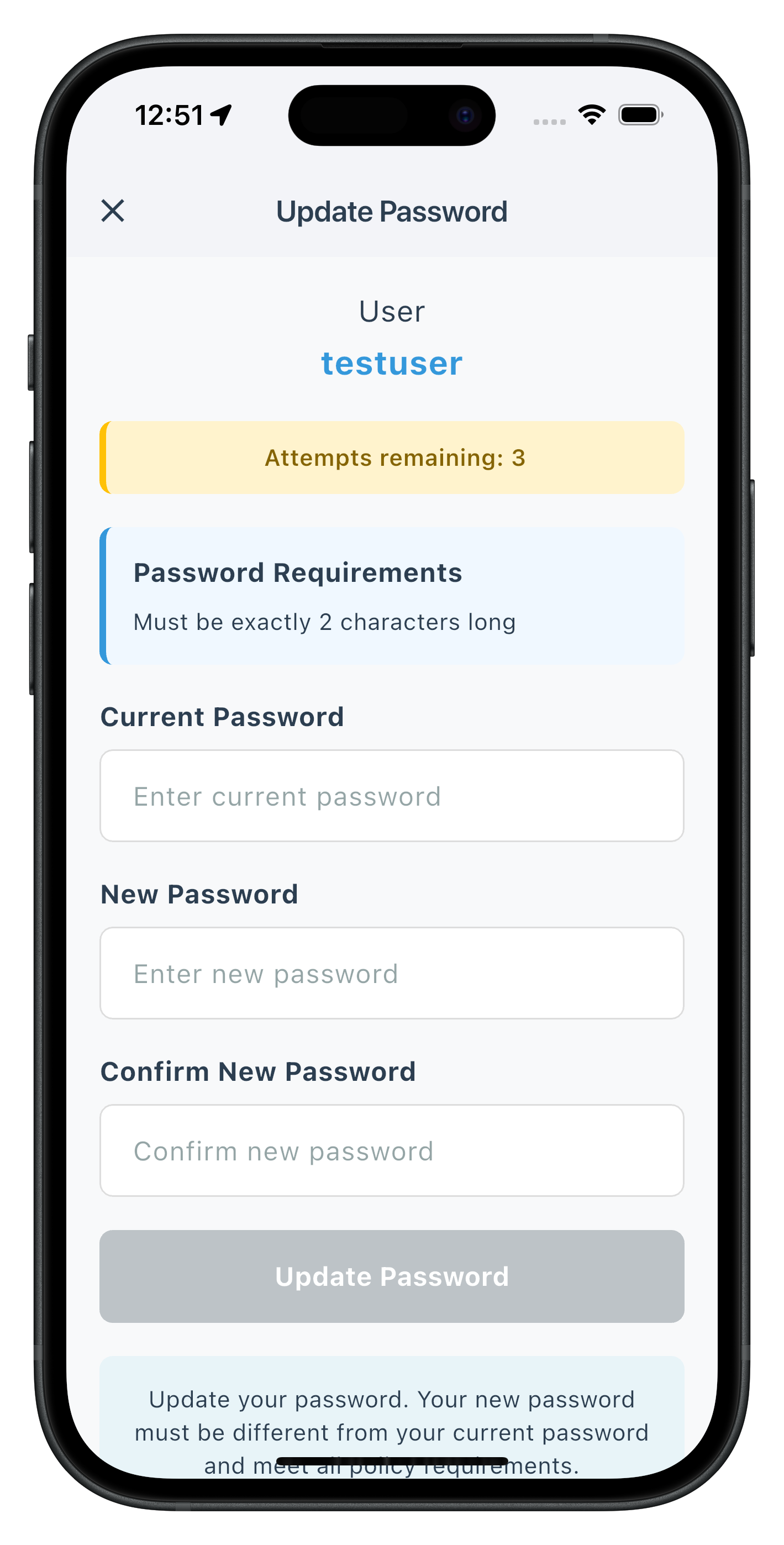 Update Password Screen