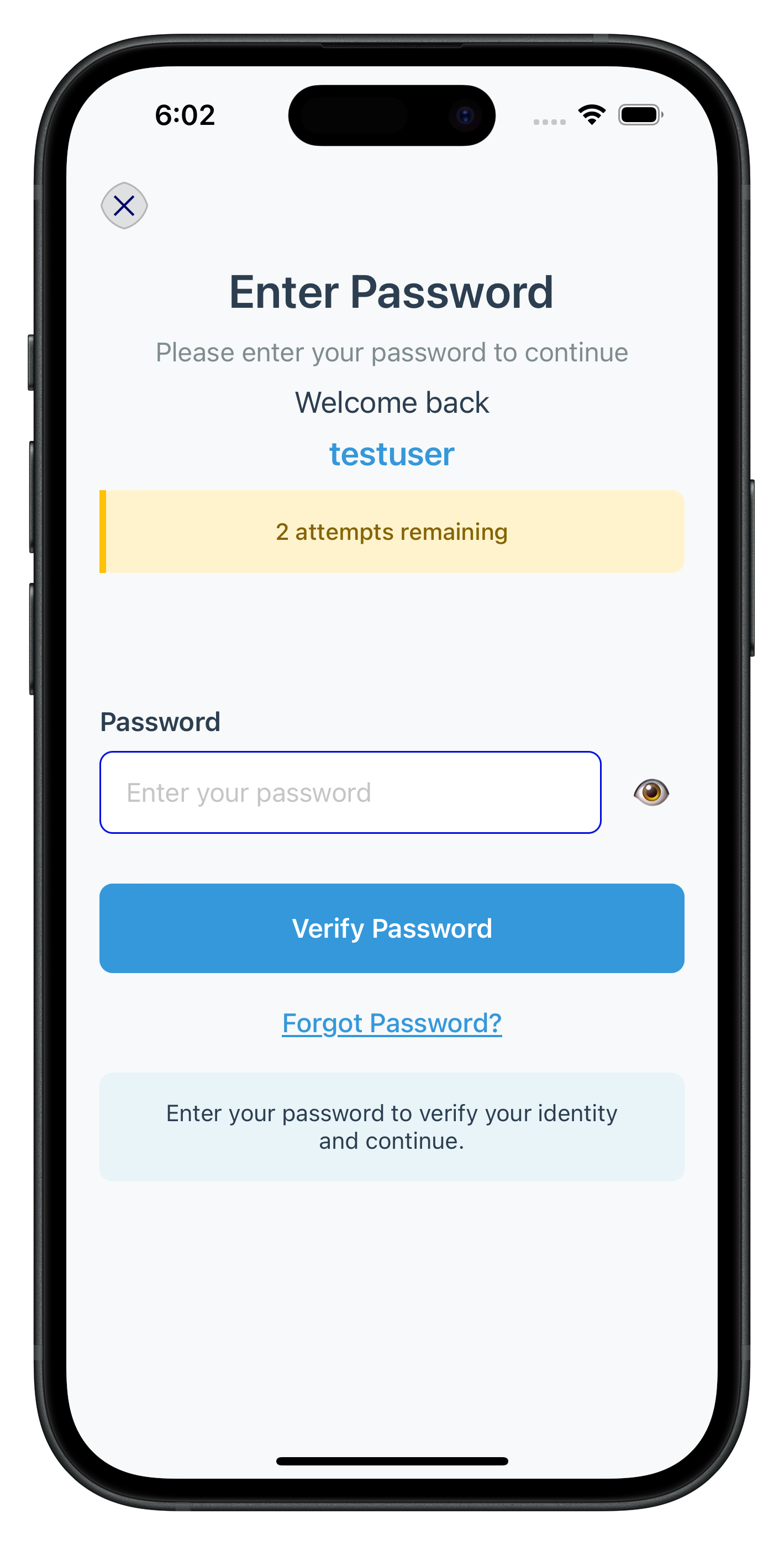 Forgot Password Screen