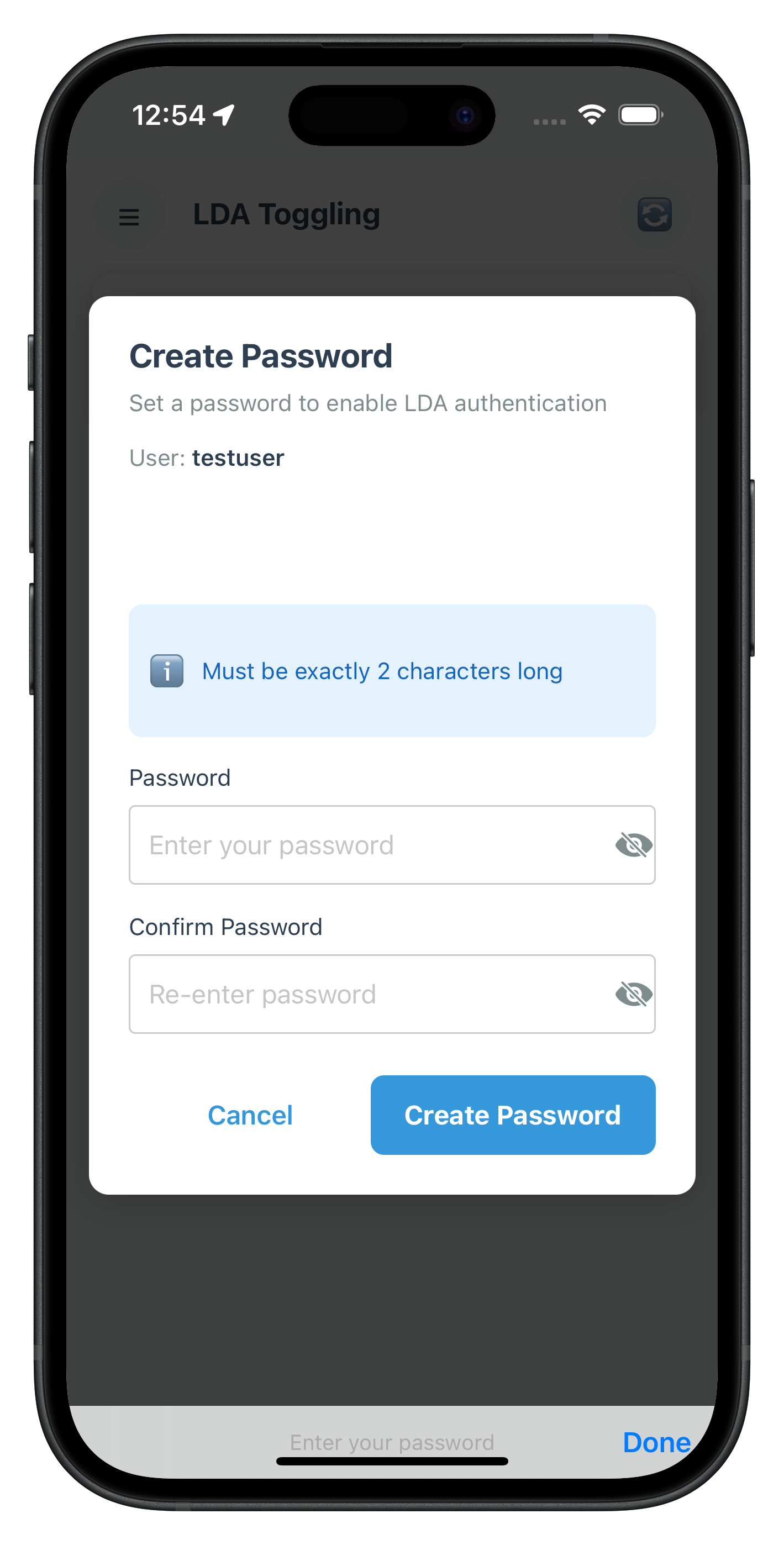 Set Password LDA Toggling Auth Modal Screen