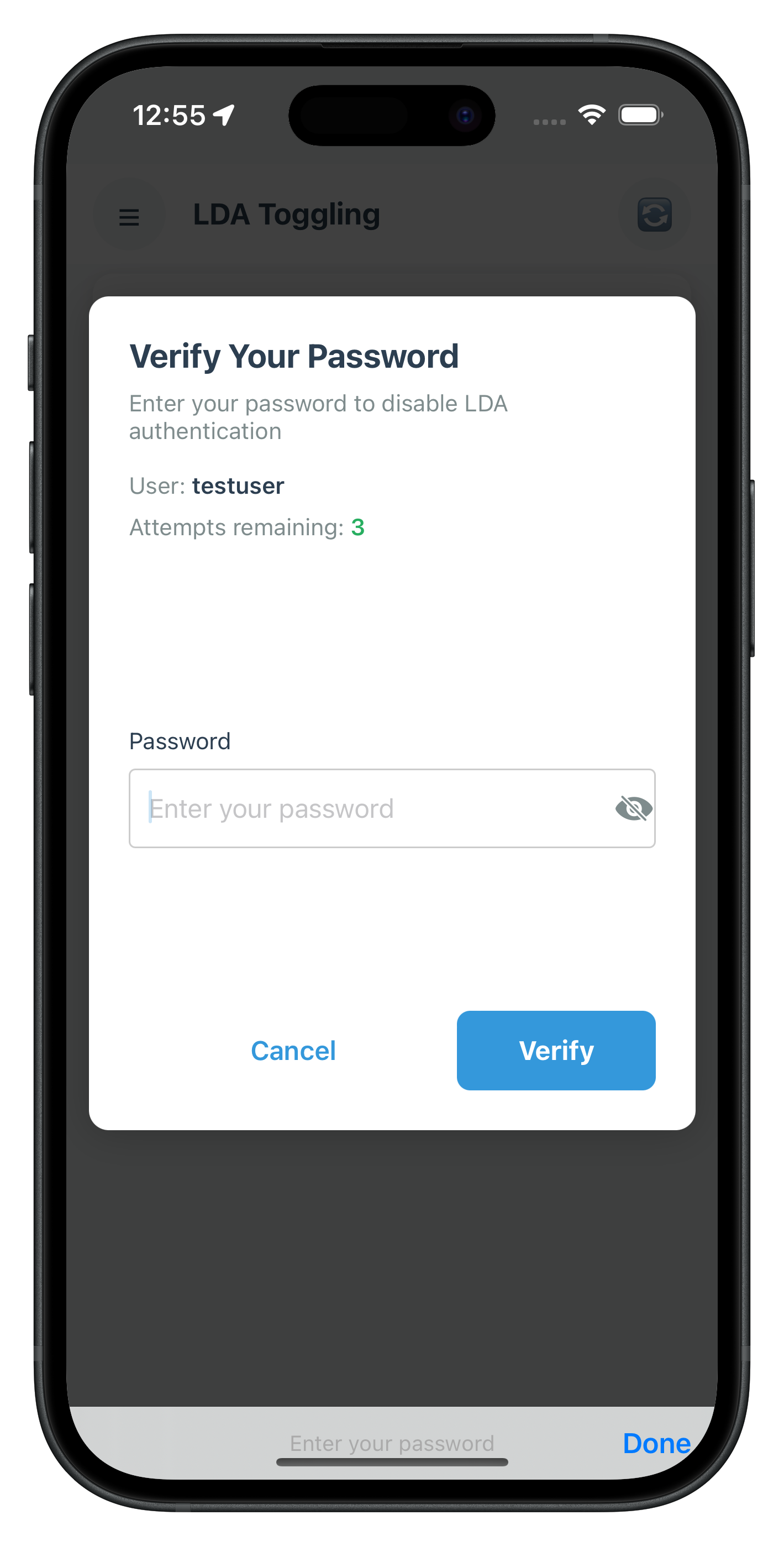 Verify Password LDA Toggling Auth Modal Screen