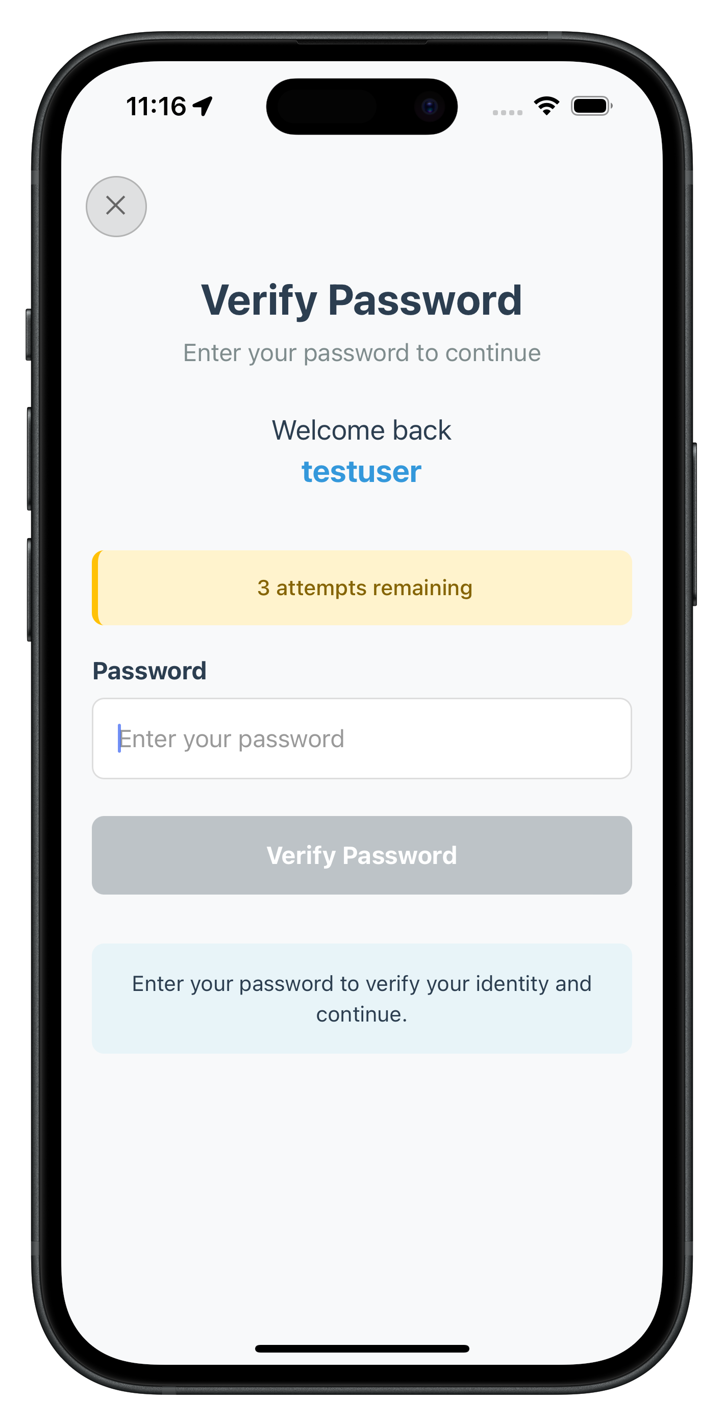 Verify Password Screen